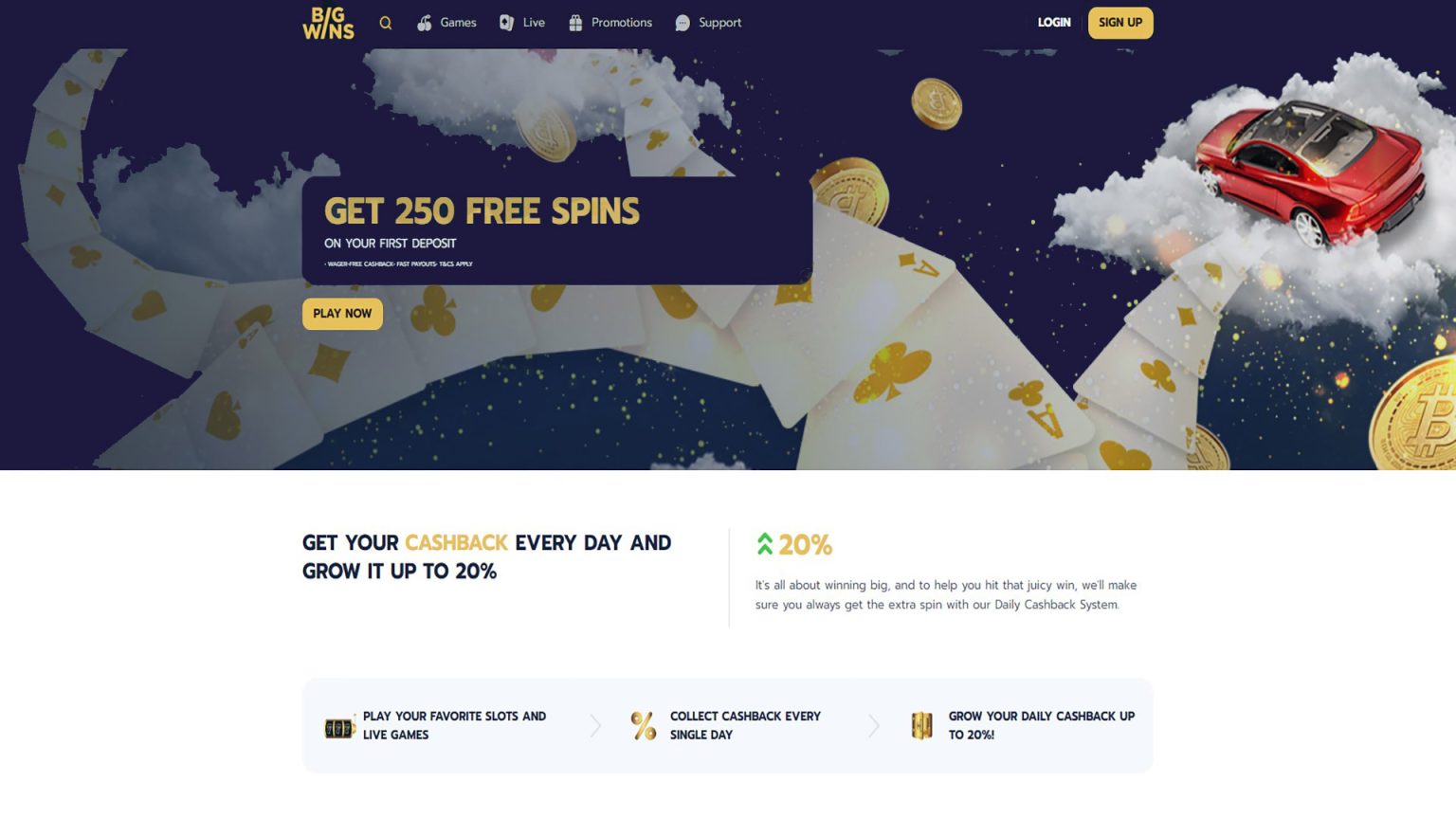 BigWins Gambling Enterprise-- Read 3 crucial points before 200 cash spins