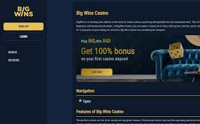 Online Gambling Enterprise Bonus Offers - VIP Programme for High Rollers